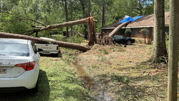 Home and small pickup truck crushed by fallen trees after Hurricane Ida